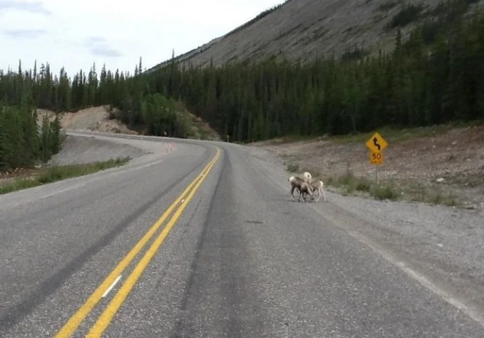 At the very north of North America. The harsh nature.