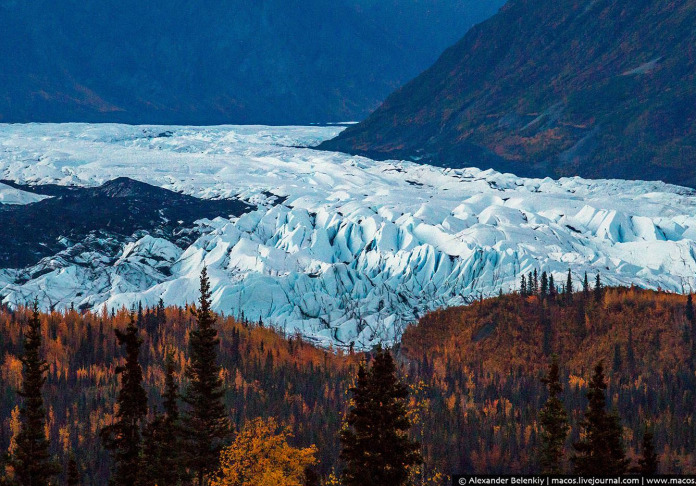 Seven reasons to visit Alaska
