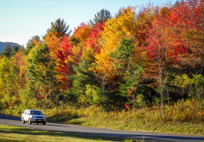 Autumn in New York province. Part two.