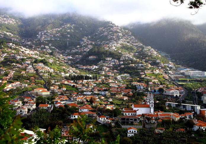 Madeira: Local Mafia, Dragon Trees, and More