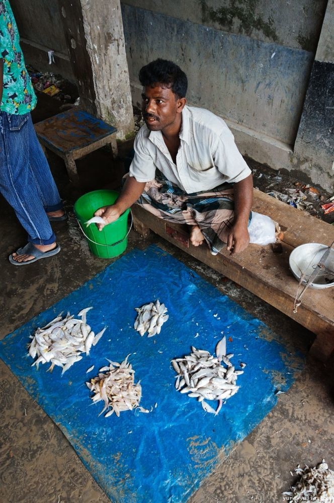 Bangladesh, shrimp, Munrigori, Bangladesh, shrimp, Munrigori