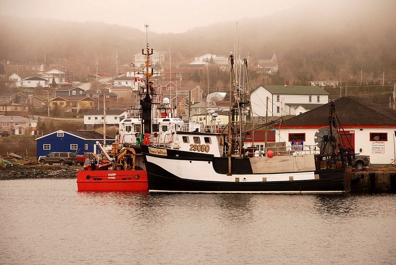 Newfoundland, Newfoundland