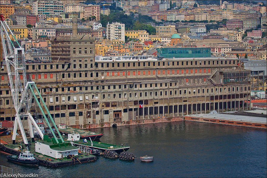 Genoa, Genoa