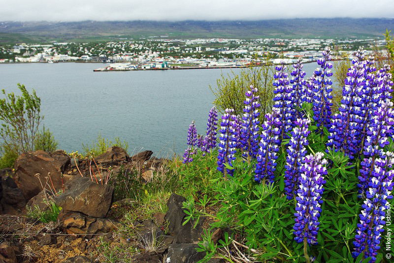Iceland, Iceland