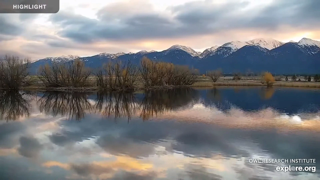 Charlo, Montana