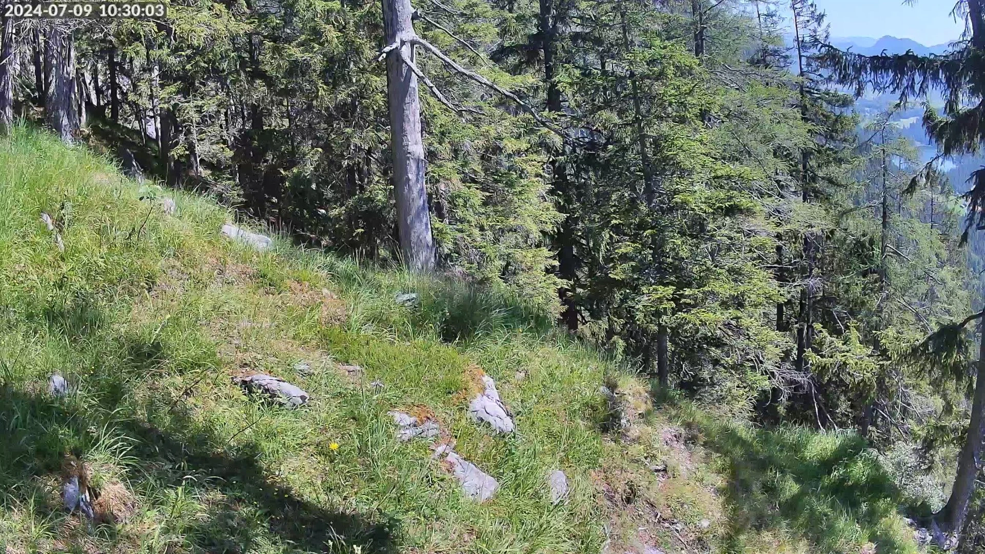 Ramsau bei Berchtesgaden, Bavaria