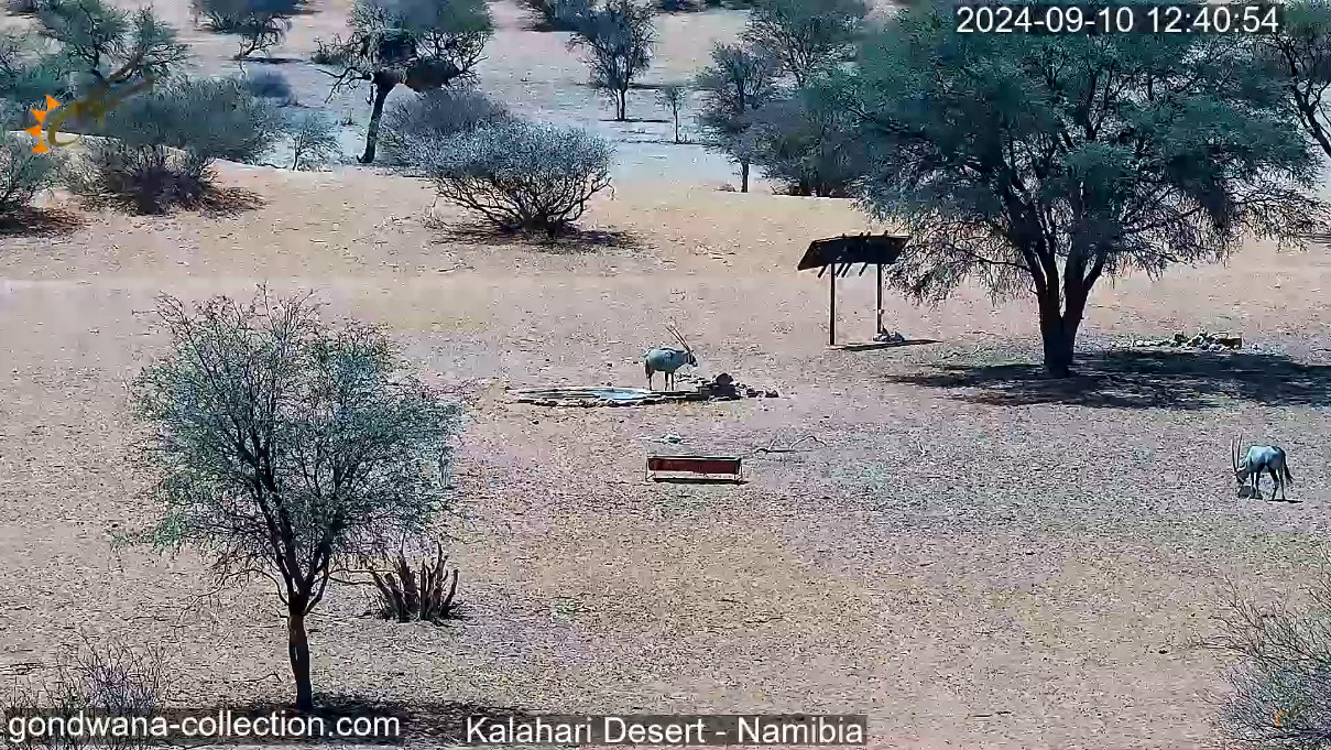 Kalahari Desert, Mariental