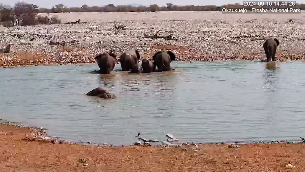 Etosha National Park, Okaukuejo