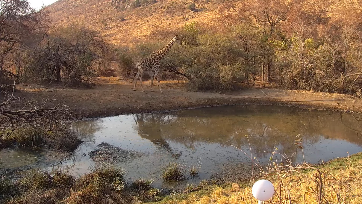 Pilanesberg National Park