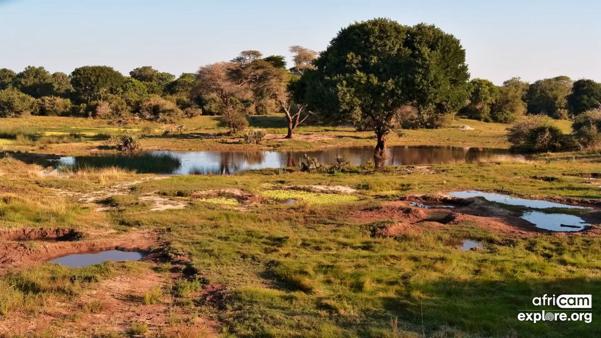 Tembe Elephant Park