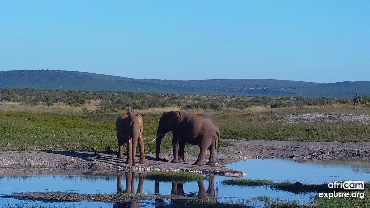 Tembe Elephant Park