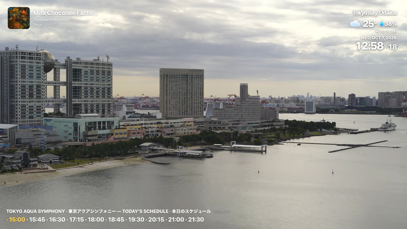 Tokyo city