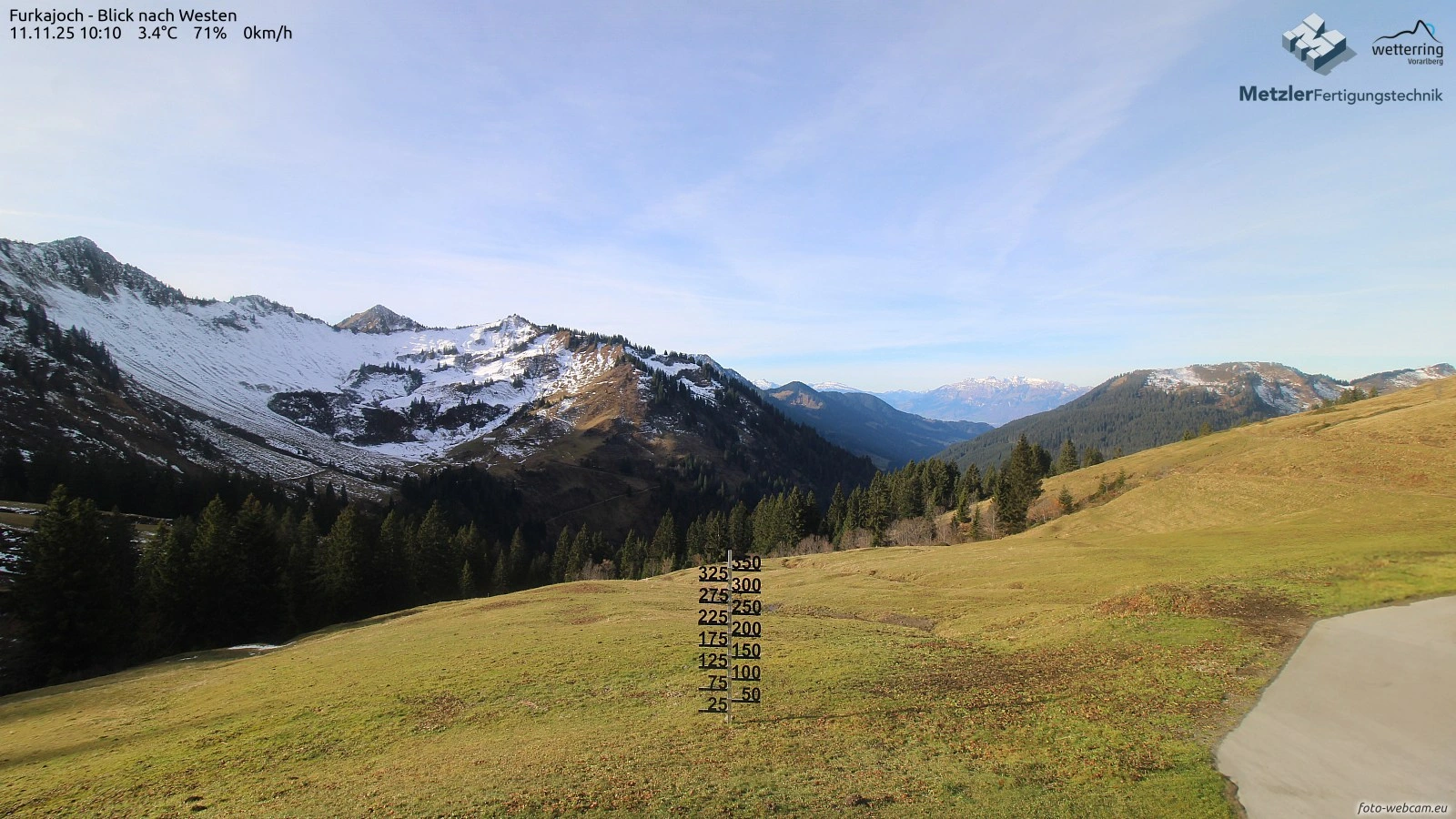 Блонс
