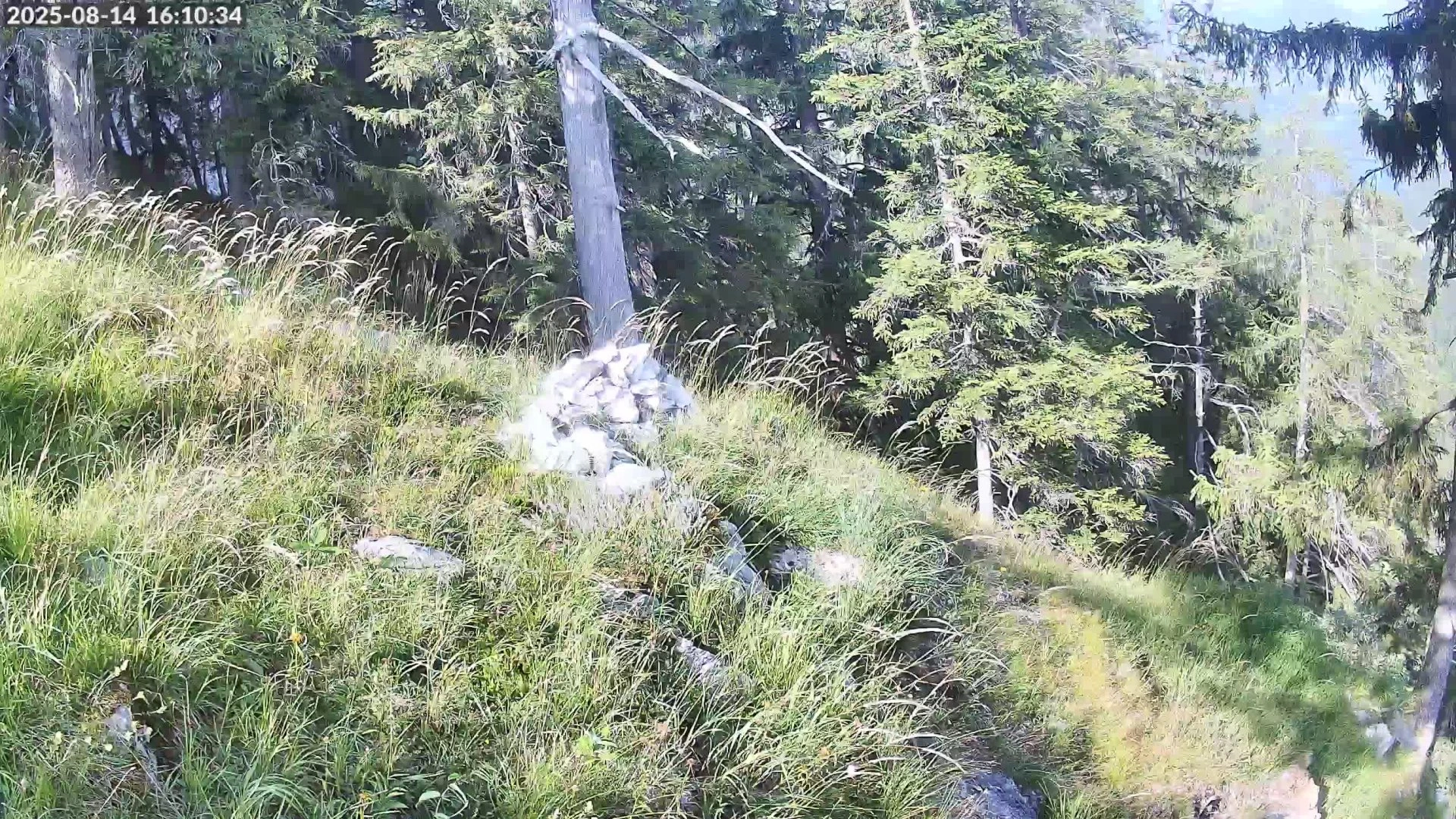 Ramsau bei Berchtesgaden