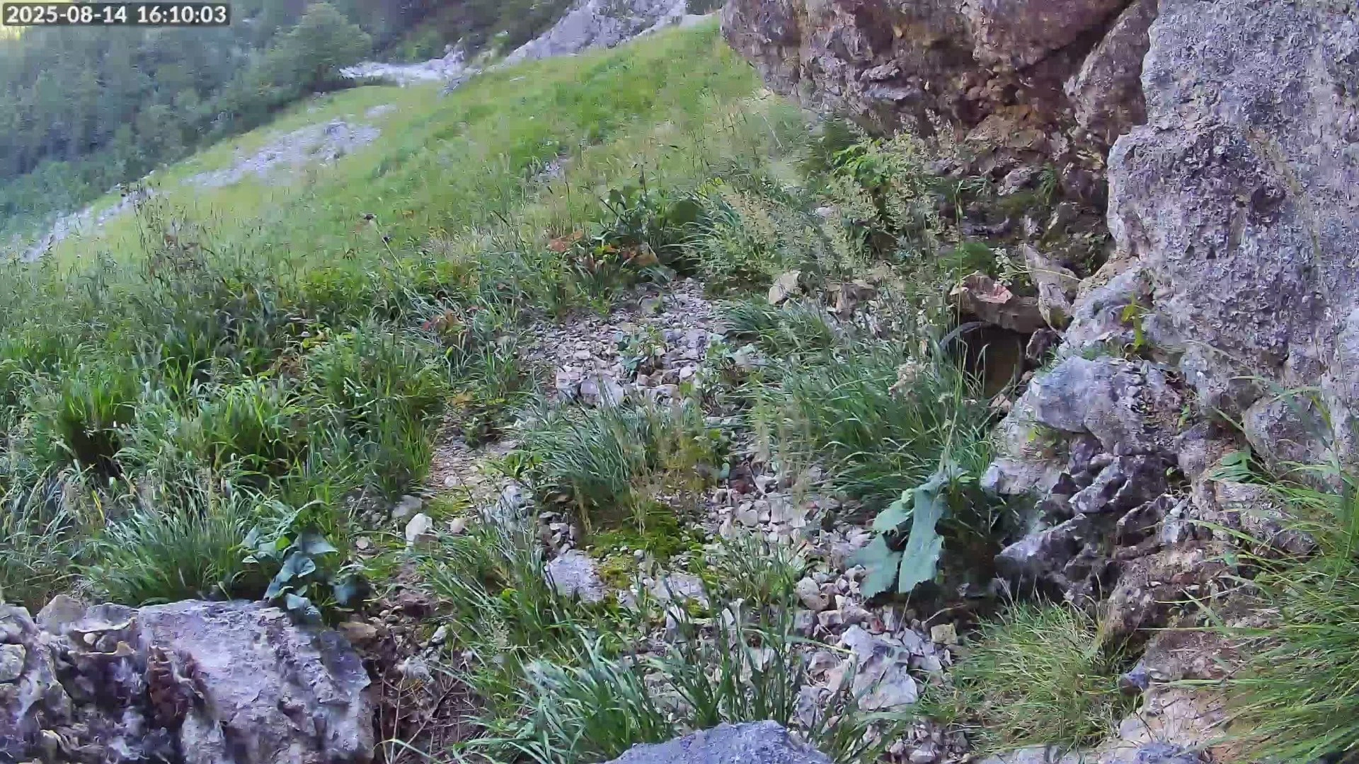 Ramsau bei Berchtesgaden