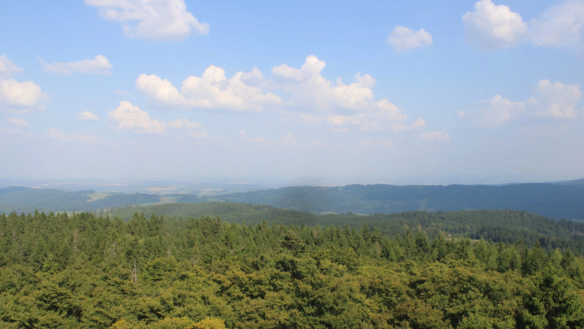 Schönsee