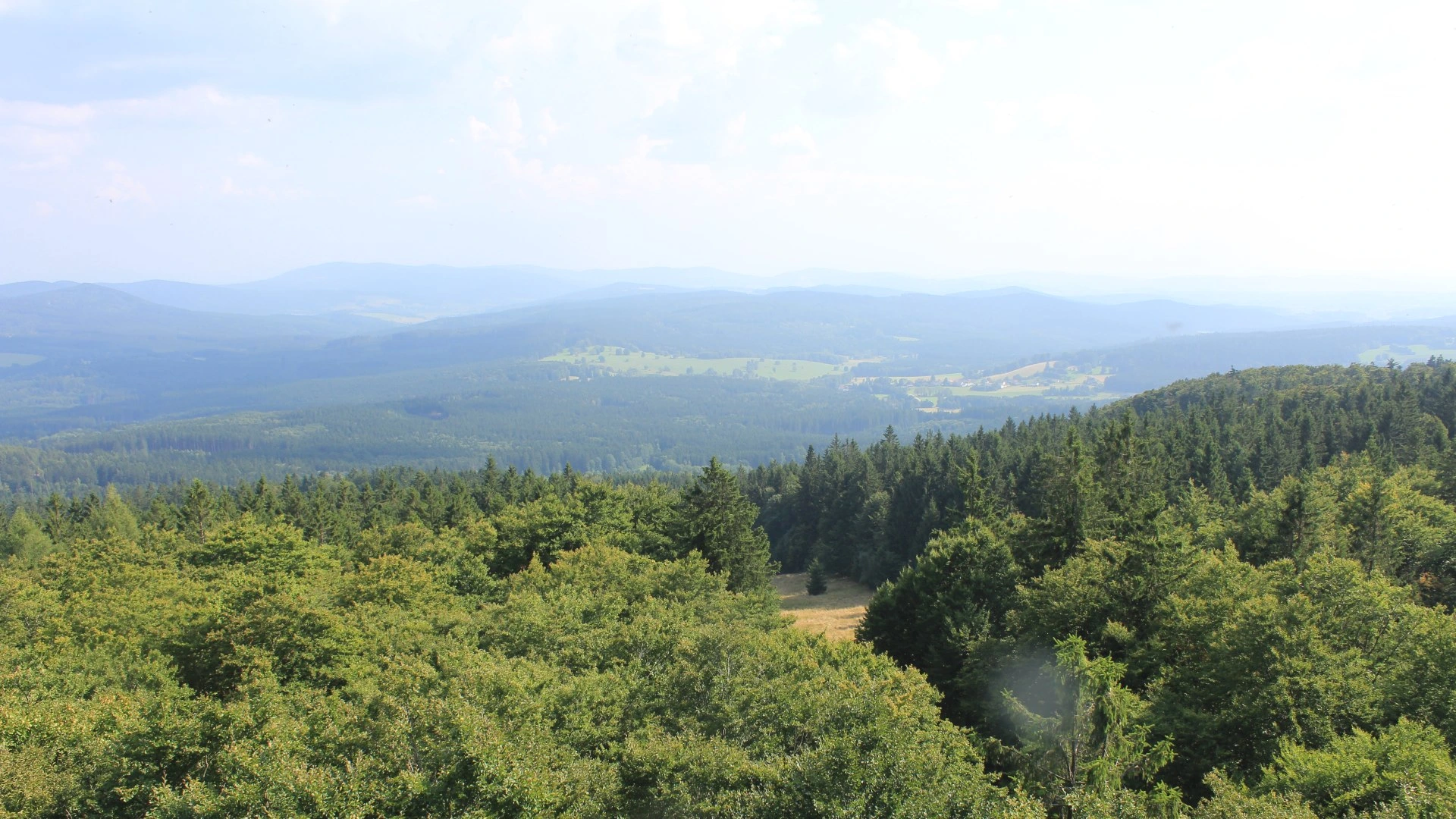 Schönsee