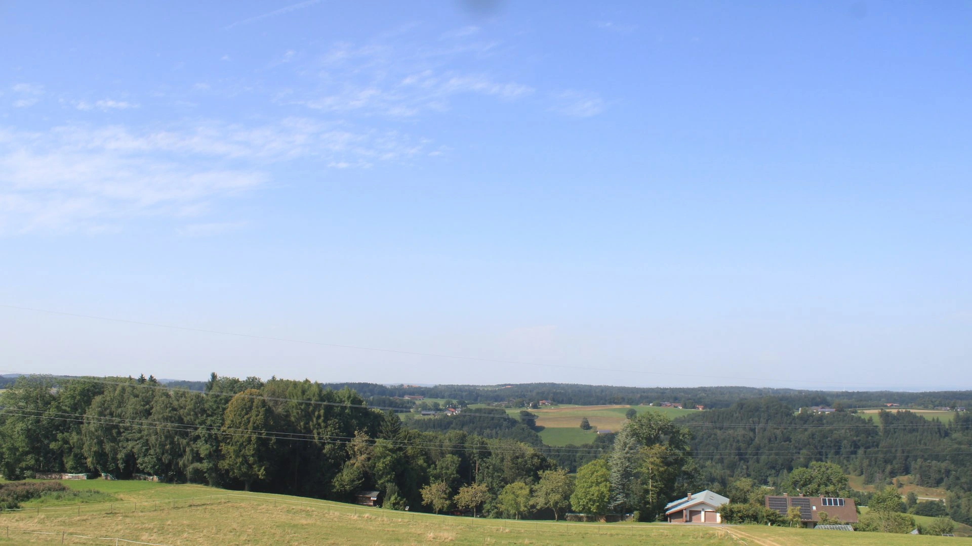 Surberg