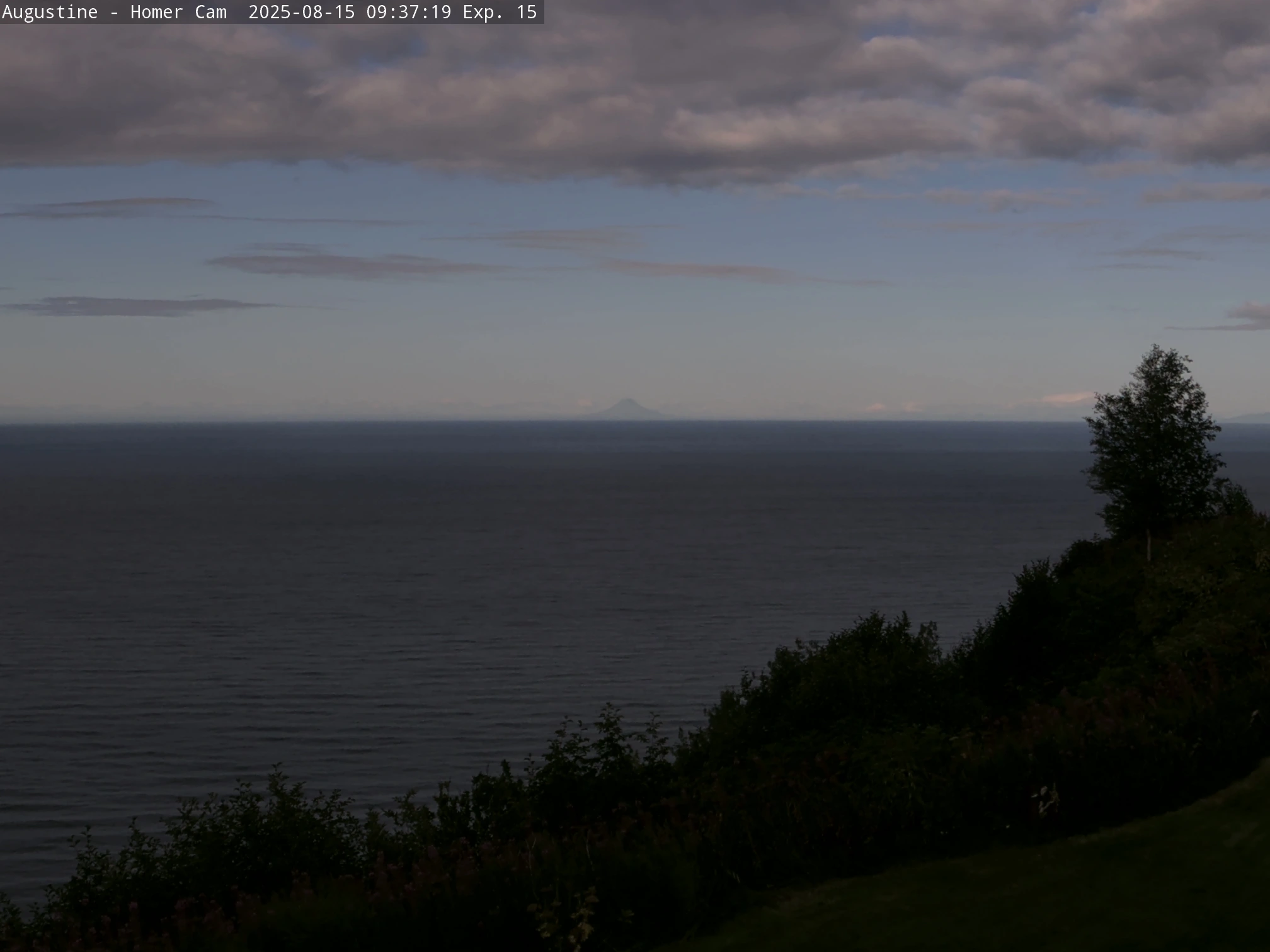 Augustine, Homer, Alaska