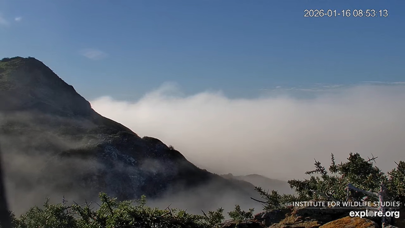 Santa Catalina Island, California
