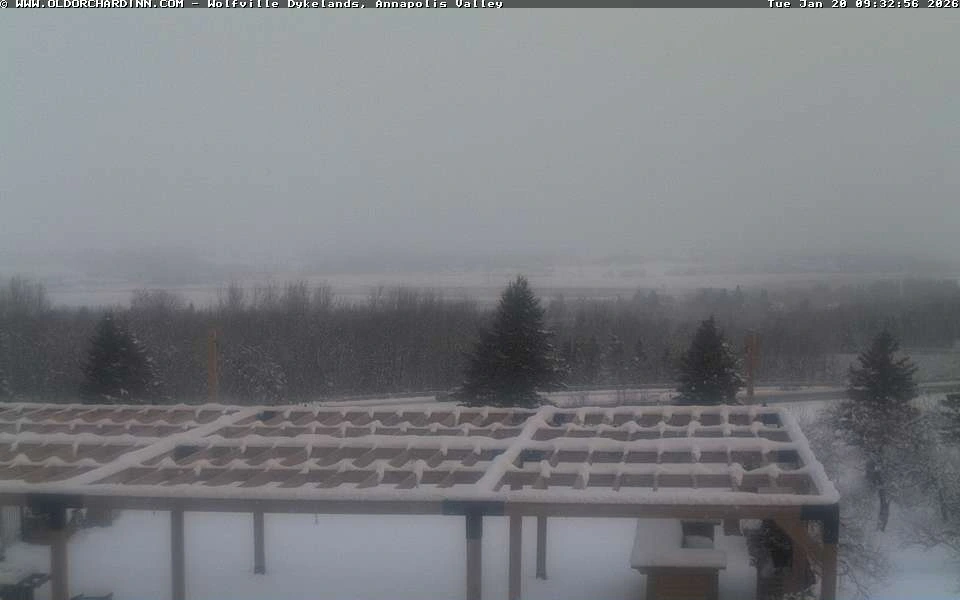 Нью Минас, Нова Шотландія