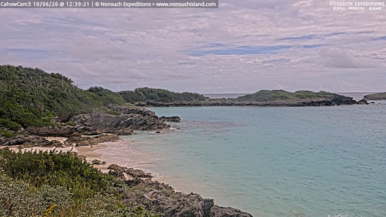 Ocean view, Nonsuch Island