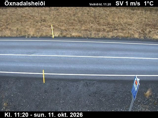 Road camera, road 1, road surface, Oxnadalsheidi, North