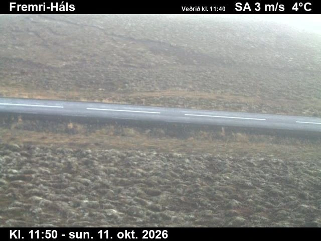 Road camera, road 85, road surface, Fremri-Hals, Northeast
