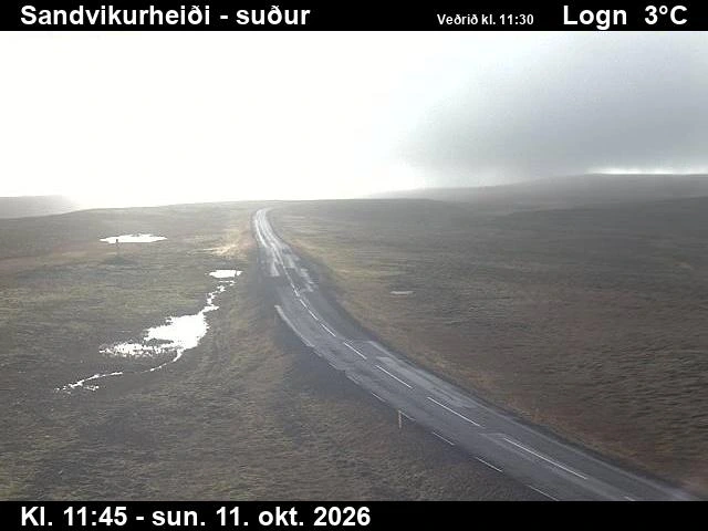 Road camera, road 85, looking south, Sandvikurheidi, East