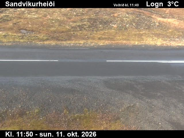 Road camera, road 85, road surface, Sandvikurheidi, East