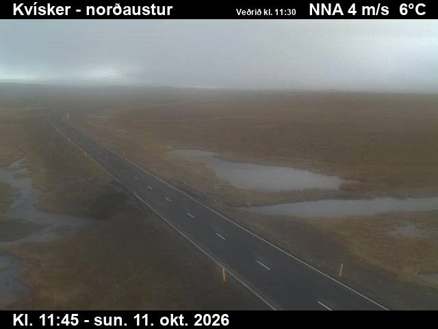 Road camera, road 1, looking north-east, Kvisker, Southeast