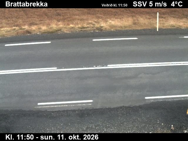Road camera, road 60, road surface, Brattabrekka, West