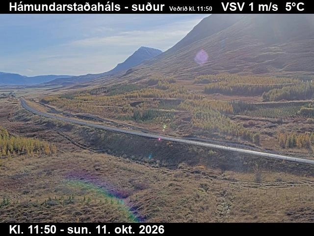Road camera, road 82, looking south, Hamundarstadahals, North