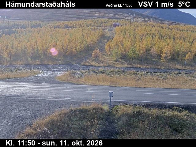 Road camera, road 82, road surface, Hamundarstadahals, North