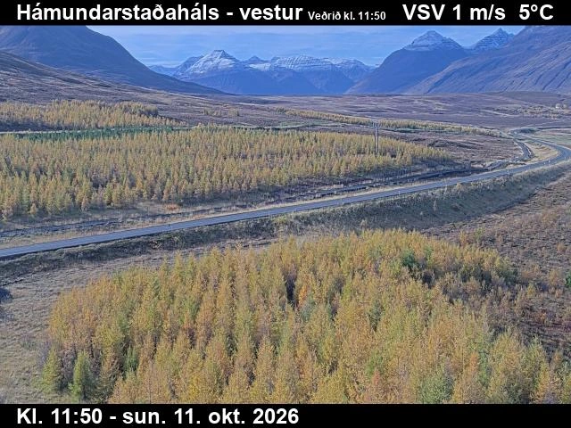 Road camera, road 82, looking west, Hamundarstadahals, North