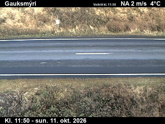 Road camera, road 1, road surface, Gauksmyri, North