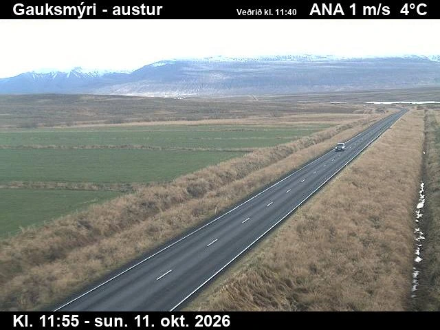 Road camera, road 1, looking east, Gauksmyri, North