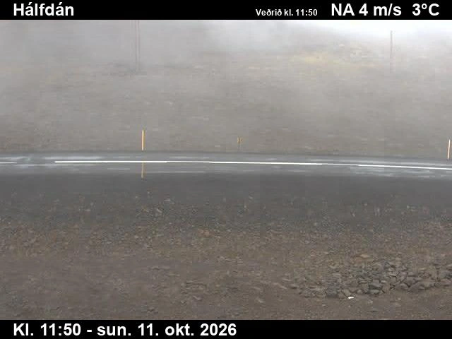 Road camera, road 63, road surface, Halfdan, Westfjords
