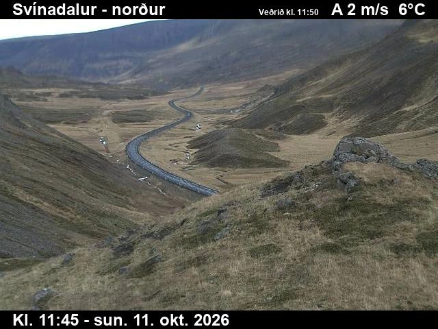 Road camera, road 60, looking north, Svinadalur, West
