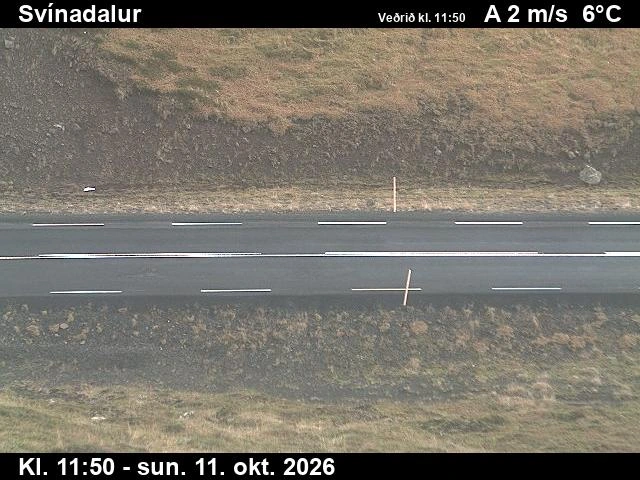 Road camera, road 60, road surface, Svinadalur, West