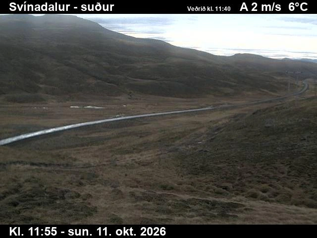 Road camera, road 60, looking south, Svinadalur, West