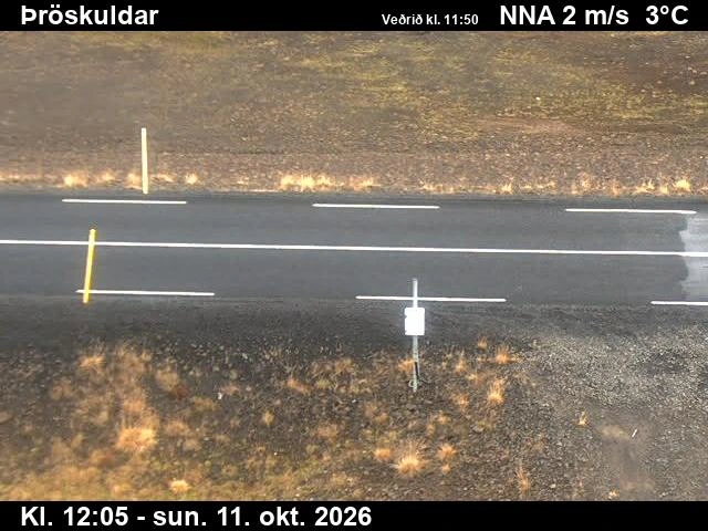 Road camera, road 61, road surface, Throskuldar, Westfjords