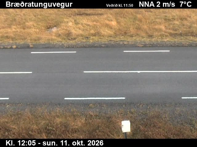 Road camera, road 359, road surface, Braedratunguvegur, South