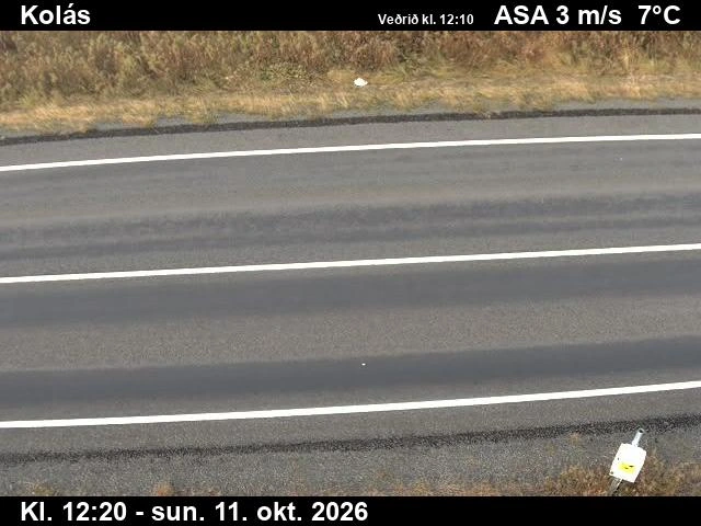 Road camera, road 1, road surface, Kolas, West
