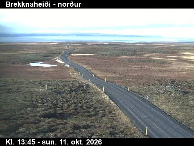 Road camera, road 85, looking north, Brekknaheidi, East