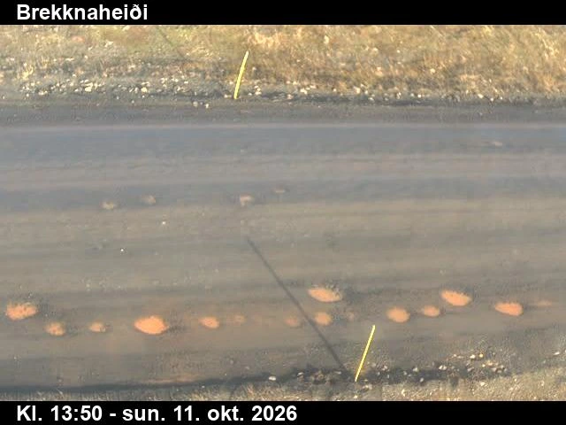 Road camera, road 85, road surface, Brekknaheidi, East
