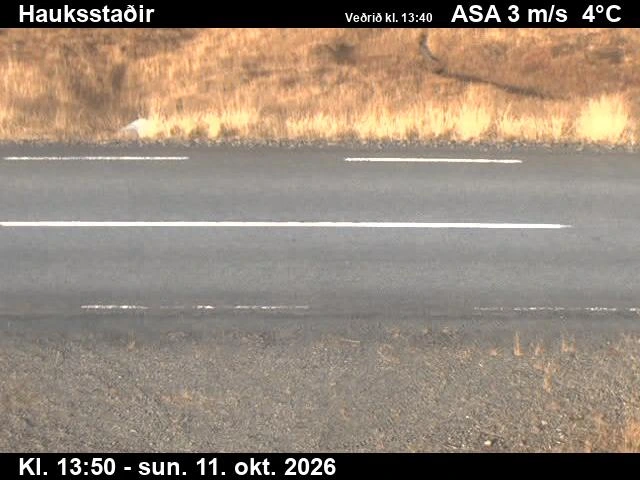 Road camera, road 85, road surface, Vopnafjardarleid, East