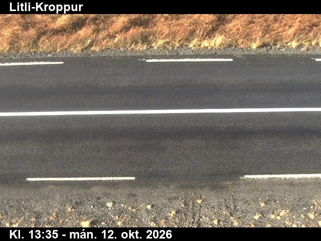 Road camera, road 50, road surface, Litli-Kroppur, West