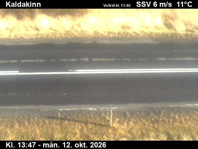 Road camera, road 85, road surface, Kaldakinn, Northeast