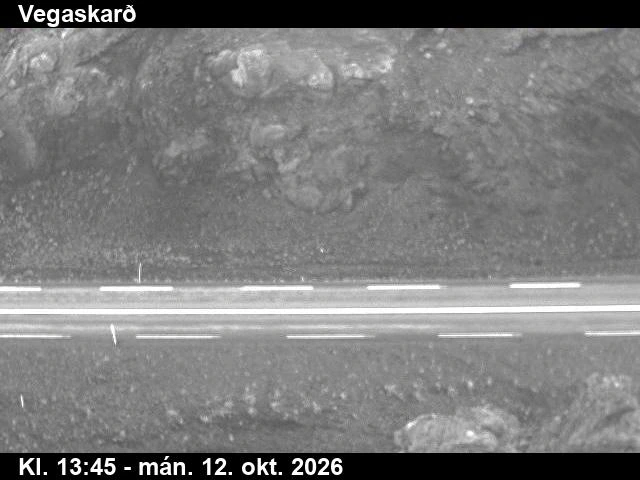 Road camera, road 1, road surface (1), Vegaskard, Northeast